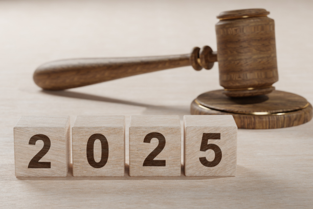 Employment Rights Bill Update 2025