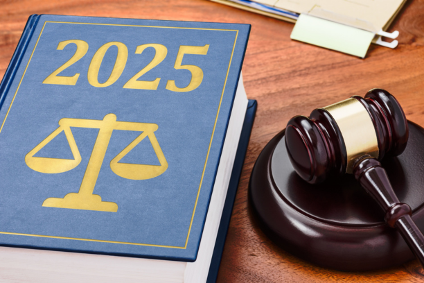 Employment Rights Bill Update: What Employers Need to Know (February 2025)